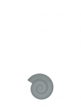 OYOY Living Design - Nautilus Trivet - Salvr&auml;tikur&otilde;ngad ja -hoidjad - 1.2X16.5X15CM