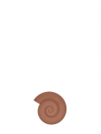 OYOY Living Design - Nautilus Trivet - Salvr&auml;tikur&otilde;ngad ja -hoidjad - 1.2X16.5X15CM
