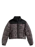 Tommy Jeans - Tjw Cropped Leopard Puffer - Polsterdatud jakid - XS