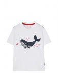 Boboli - Knit T-Shirt For Boy -Bci - L&uuml;hikeste varrukatega - 140
