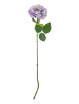 Bloomingville - Rose Stem - Kuivatatud ja kunstlilled - H66CM