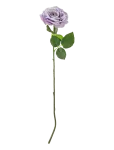 Bloomingville - Rose Stem - Kuivatatud ja kunstlilled - H66CM