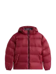 Tommy Jeans - Tjm Essential Down Jacket Ext - Polsterdatud jakid - XL