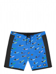 PICTURE ORGANIC CLOTHING - Sb 17 Boardshorts - Spordi ujumisp&uuml;ksid - 30