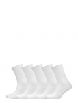 Decoy - Decoy Ankle Sock Cotton 5-Pk - Tavalised sokid - 37-41