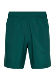 Under Armour - Ua Tech Woven Wordmark Short - Spordi l&uuml;hikesed p&uuml;ksid - XXL