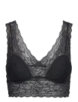 CHANTELLE - Floral Touch Wirefree Bra - Tugikaarteta rinnahoidjad - L