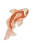 Broste Copenhagen - Koi Rug - Villased vaibad - L 130CM