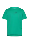PUMA - Ess Small No.1 Logo Centered Tee B - L&uuml;hikeste varrukatega - 164
