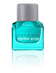 Hollister Fragrances - Canyon Rush Him Eau De Toilette - Eau De Toilette - 30 ML