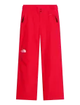 The North Face - W Descendit Pant - Spordi suusap&uuml;ksid - S