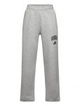 Adidas Sportswear - J Clgt Fl Pnt - 140