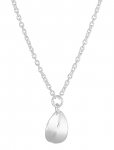 Drakenberg Sj&ouml;lin - Botanica Drop Necklace - &Otilde;rnad kaelakeed - ONE SIZE