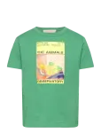 THE ANIMALS OBSERVATORY - Big Rooster Kid T-Shirt Green 10Y - T-shirts - 8 Y