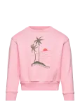 THE ANIMALS OBSERVATORY - Bear Kid Sweatshirt Pink - Dressipluusid - 2 Y