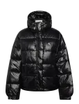 Calvin Klein Jeans - Shine Puffer Jacket - Polsterdatud jakid - M