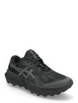 Asics - Trabuco 14 Gtx - Spordi jooksujalatsid - 43.5