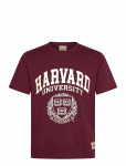 Jack & Jones - Jorharvard Tee Ss C.n Styd Ss25 - L&uuml;hikeste varrukatega - S