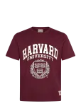 Jack & Jones - Jorharvard Tee Ss C.n Styd Ss25 - L&uuml;hikeste varrukatega - S