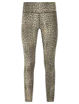 Athlecia - Windia V2 W Waist Printed Tights - Spordi treeningretuusid - 44