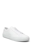Polo Ralph Lauren - Jermain Leather Sneaker - Madala s&auml;&auml;rega tossud - 45