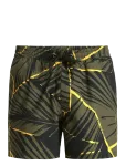 Quiksilver - Everyday Printed Volley 15 - Spordi ujumisp&uuml;ksid - L