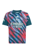 Adidas Performance - Arsenal Fc Tee Youth - Jalgpallis&auml;rgid - 152