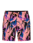 O'neill - O'neill Print 16'' Swimshorts - Spordi ujumisp&uuml;ksid - XL