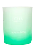 JOIK - Joik Home & Spa Scented Candle Forever Fresh - L&otilde;hnak&uuml;&uuml;nlad - 150 g