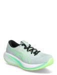 Asics - Gel-Cumulus 28 - Spordi jooksujalatsid - 46