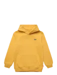 Levi's - Po-Pull-Over Hoody - Kapuutsiga pusad - 104