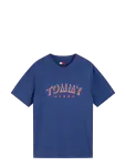 Tommy Jeans - Tjm Rlx Dna Play Tee Ext - L&uuml;hikeste varrukatega - L