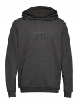 JBS Of Denmark - Jbs Of Dk Logo Hoodie Fsc - Kapuutsiga pusad - XL