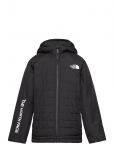 The North Face - B Never Stop Synthetic Jacket - Tepitud ja polsterdatud - M