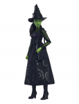 Wicked - Universal Pictures&rsquo; Wicked Elphaba Fashion Doll With Removable Fashions & Accessories - Nukud - ONE SIZE