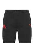PUMA - Puma X Paw Patrol Relaxed Jorts Tr - L&uuml;hikesed dressip&uuml;ksid - 98