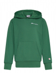 Champion - Hooded Sweatshirt - Kapuutsiga pusad - 174-179