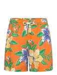 Polo Ralph Lauren - Printed Linen-Wvn-Swim Bottom - L&uuml;hikesed p&uuml;ksid - XXL