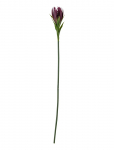 Bloomingville - Lily Stem - Kuivatatud ja kunstlilled - H76CM