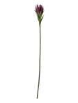Bloomingville - Lily Stem - Kuivatatud ja kunstlilled - H76CM