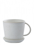 ERNST - Cup W Saucer - Teetassid - 17 CL