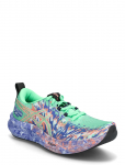 Asics - Noosa Tri 16 - Spordi jooksujalatsid - 46