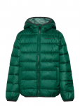 Champion - Hooded Jacket - Tepitud ja polsterdatud - 174-179