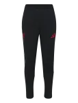Adidas Performance - Lfc Tr Pnt - Spordi treeningp&uuml;ksid - XXL