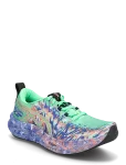 Asics - Noosa Tri 16 - Spordi jooksujalatsid - 42