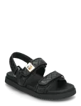 Steve Madden - Mona-Q - Platvormsandaalid - 40