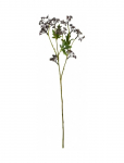 House Doctor - Artificial Branch, Hdmeadow, Burgun - Kuivatatud ja kunstlilled - 12X 55CM
