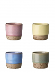 Aida - Raw Colour - Mini Kop 4 Pak 5 Cl. 1 X Greenish /Blueish/Yellowish/Roseish - Espressotassid - ONE SIZE