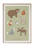 Kunskapstavlan&reg; - In The Woods - P&aring; Engelska - Posters - 50X70CM