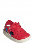 Adidas Sportswear - Water Sandal Spider-Man I - Sandaalid - 23